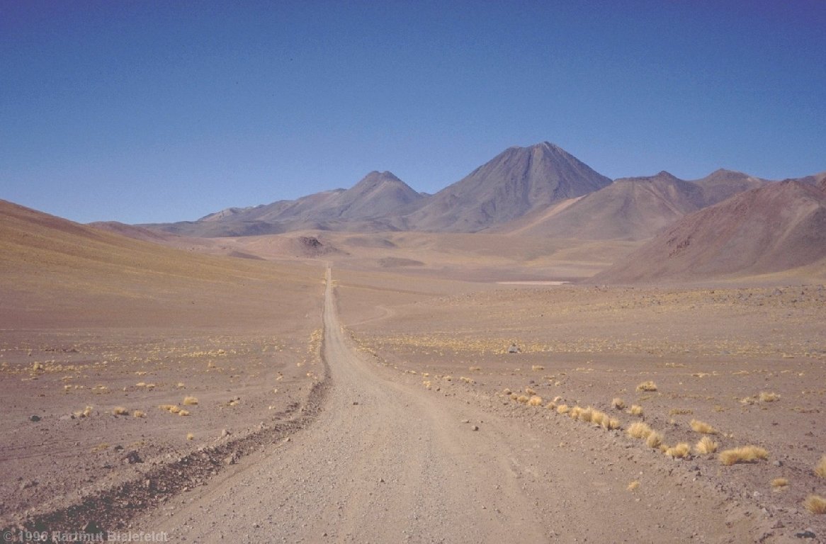 Auf 4500 m wächst noch einiges Punagras; die Berge sind 5600-5800 m hoch.