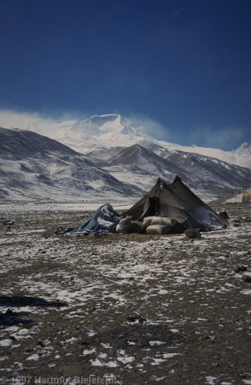 In the drivers´ basecamp, also the Tibetan yak herders are camping.
