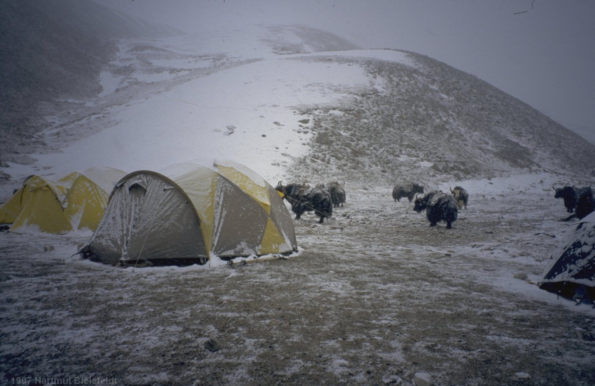 The intermediate camp at 5350 m is not very comfortable.