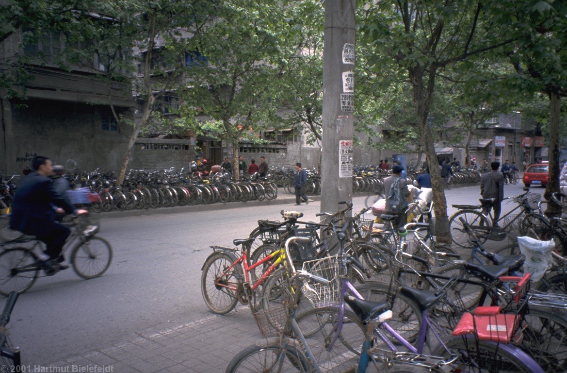 In the smaller streets, bicycles are the main means of transportation