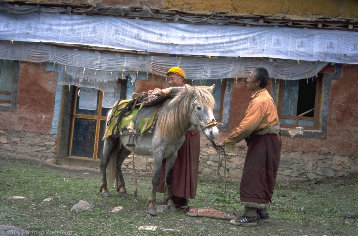 For the horse, the monks are helping.