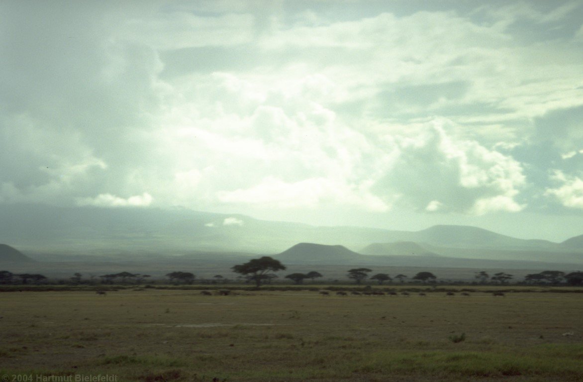Landschaft im Amboseli-Park am Fuß des Kilimanjaro