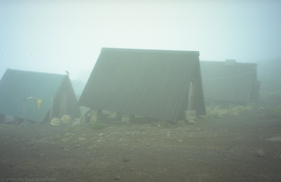 Horombo Huts (3700 m)