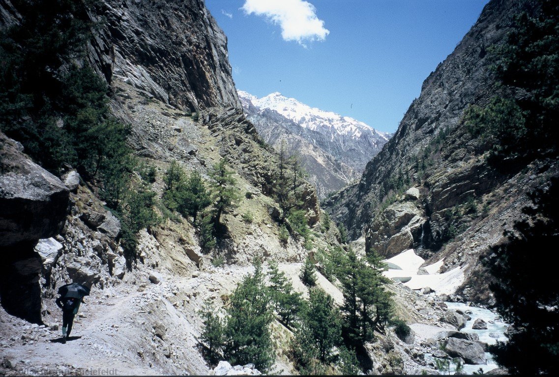 In the gorge from Gamsali to Niti