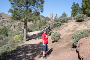 Der Roque Nublo ist nicht weit, aber unbesteigbar