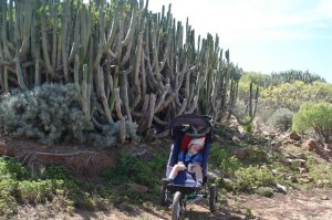 Das Gerttel auf den schlechten Wegen macht mde