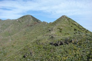 Auf der Hinfahrt sehen wir den Baracn noch.