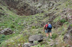 Der Weg ist allerdings erstaunlich gut