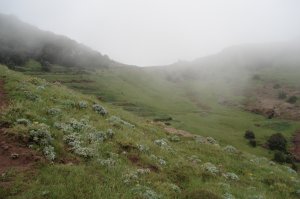 Pltzlich wird es flach und neblig