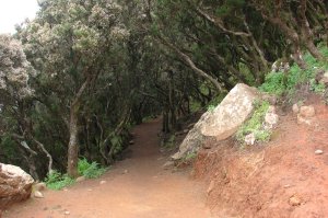 ein hbscher Hohlweg am Baracn