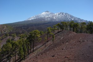 Teide und Pico Viejo von der anderen Seite aus