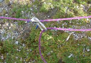 Sonderfall Lose Rolle mit Tibloc