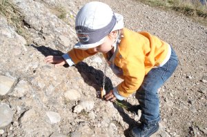 Felsen ausprobieren am Hochgratgipfel