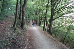 Zwischen Treuchtlingen und Pappenheim