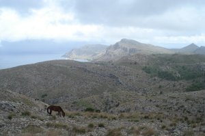 Blick zurück Richtung Ermita