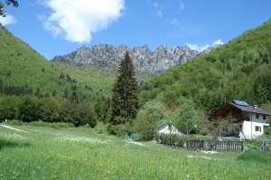 Bei der Malga Grassi