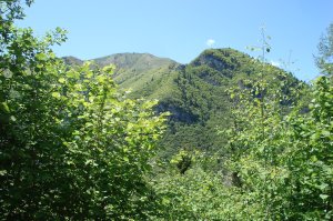 Viel Grün in der Umgebung