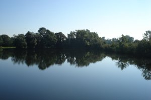 Donau bei Ulm-Donautal