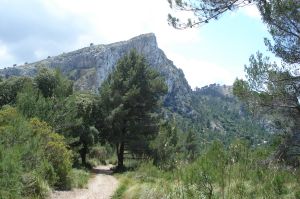 Serra des Pinotells