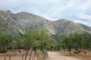 Finca Galatzó, das Ziel ist eigentlich schon in Sicht