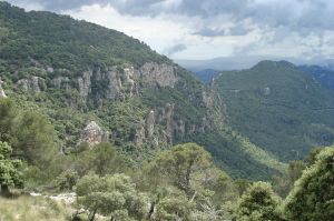 Dieses Tal geht es zurck nach Valldemossa