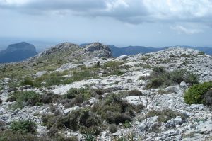 Puig de sa Torre