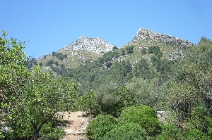 Finca Galatz, Rckblick zum Berg