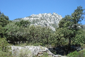 Puig de nAli