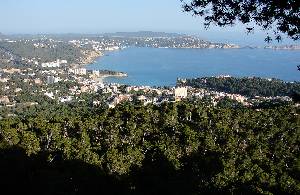 Paguera