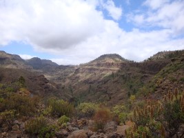 Der Roque Nublo steckt in den Wolken.