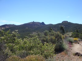 Pico de las Nieves