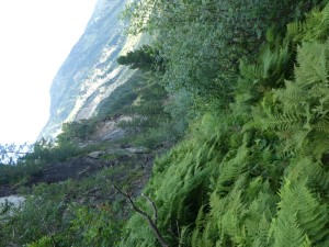 Weiter unten wird es abenteuerlich