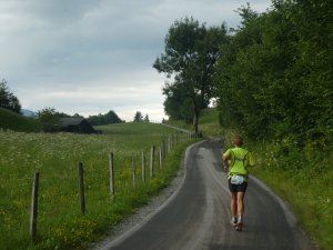 für einen Radweg grenzwertige Steigung