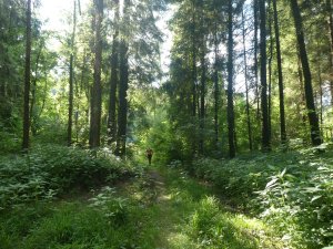 mühsam, besonders für Radbegleiter