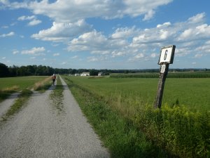 die letzten Kilometer auf dem Deich ohne Schatten