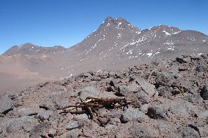 Holz (Alter unbekannt) auf dem Cerro Negro de Pujsa. Hinten der Acamarachi