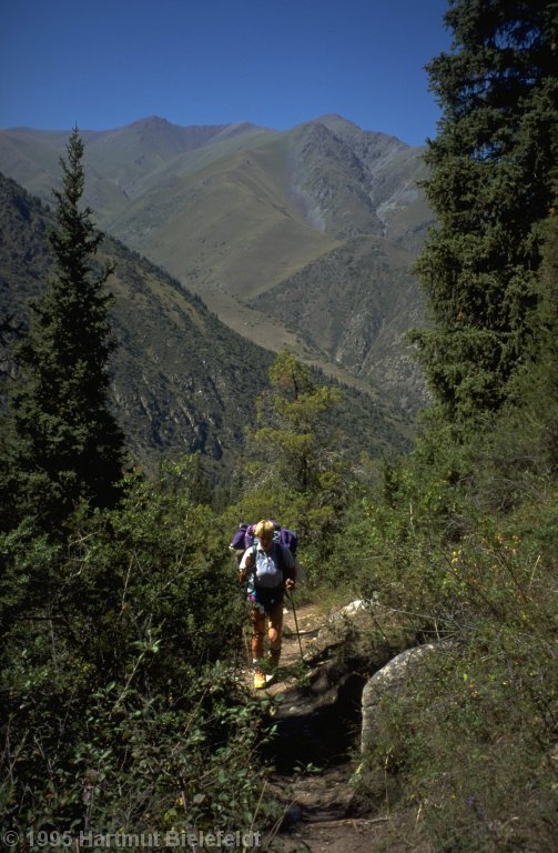 In Ala-Archa near Bishkek, it looks almost like in the Alps, only a little more spacious and less crowded.