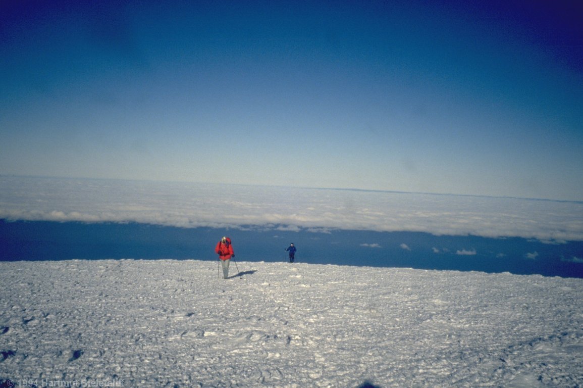 The crater is not visible, it is entirely filled by the glacier.