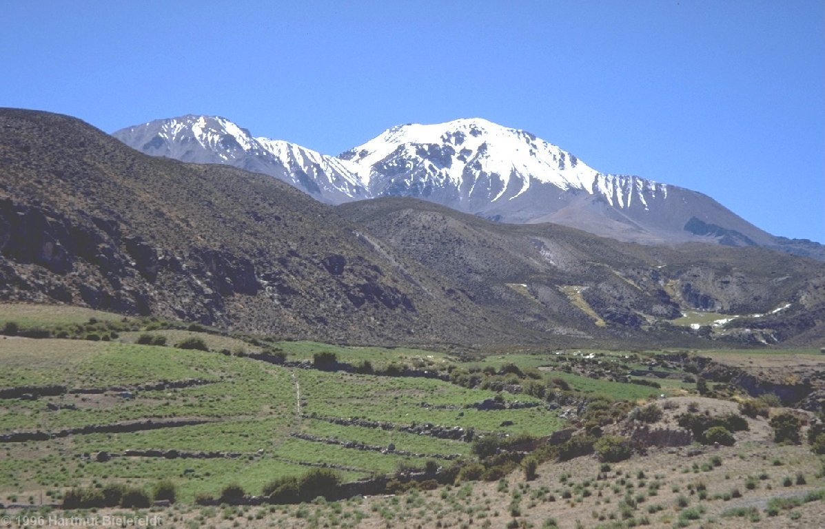 Cerro Taapacá above the green fields of Putre