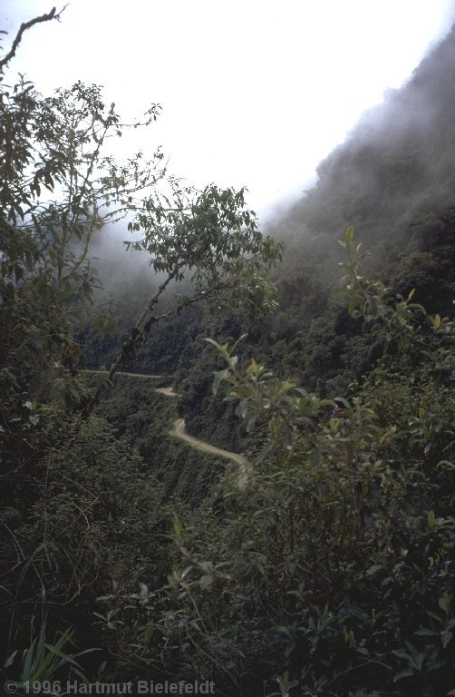 Straße von La Paz nach Coroico, etwas unterhalb der Nebelwälder.