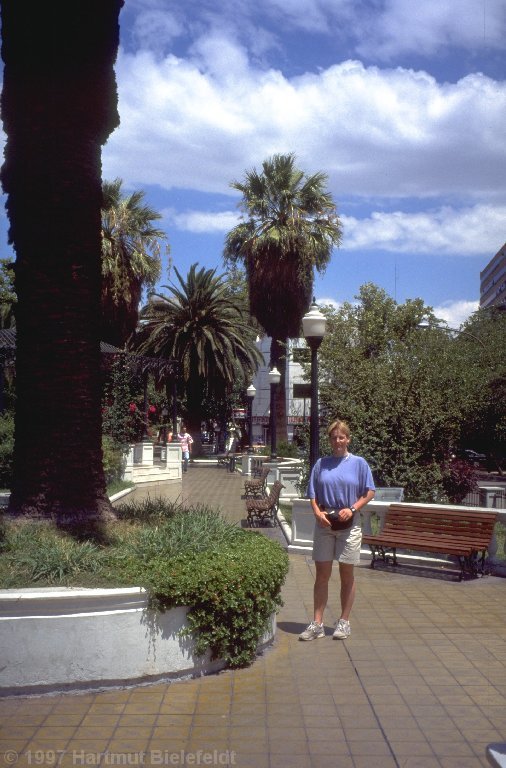 Zurück in Mendoza.