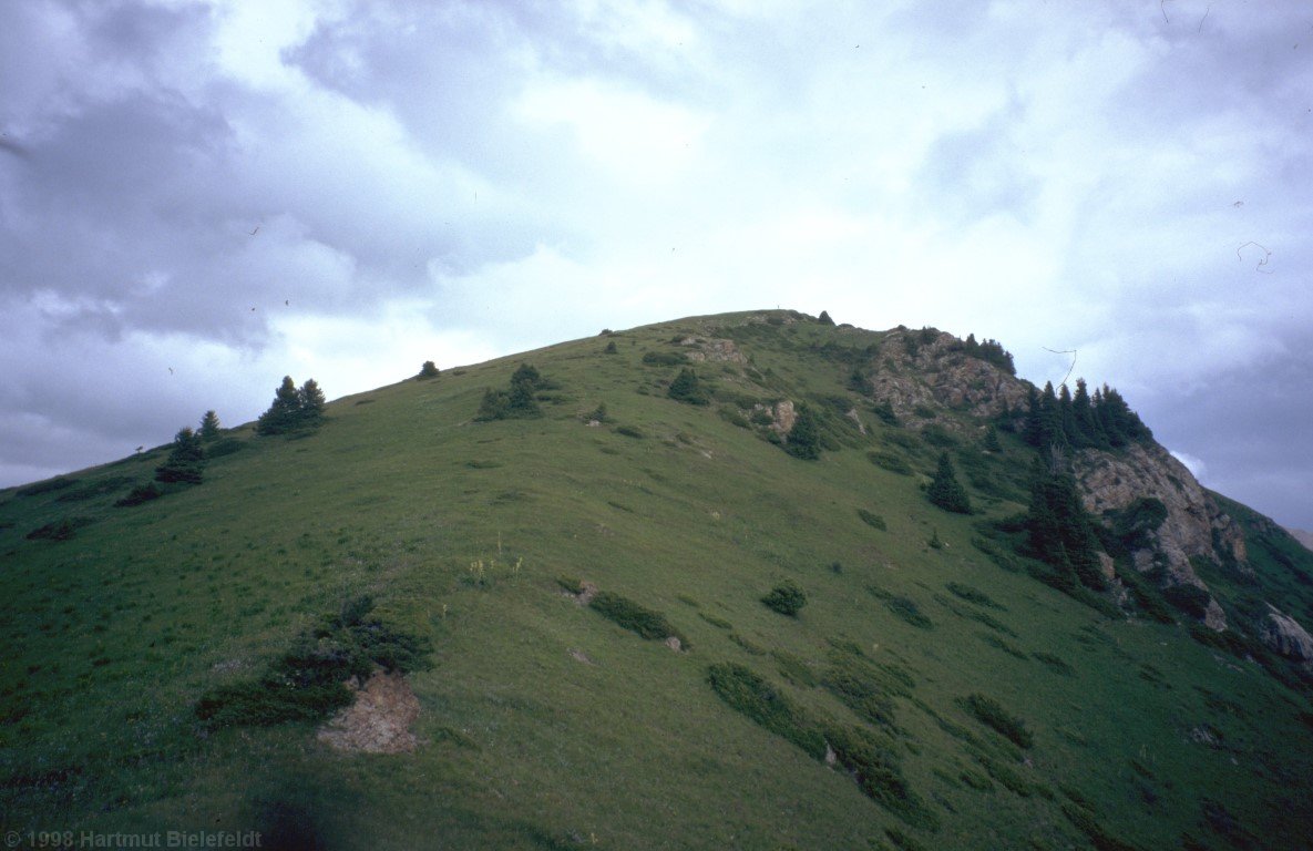 Der Berg mit den blauen Blumen ist 2900 m hoch.