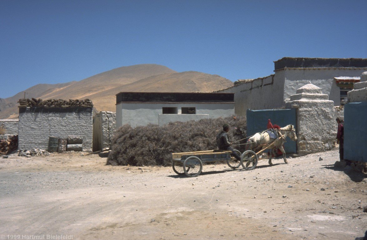 Tingri (4300 m)