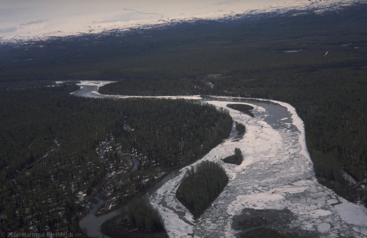 The big rivers are still ice-covered in mid-May.