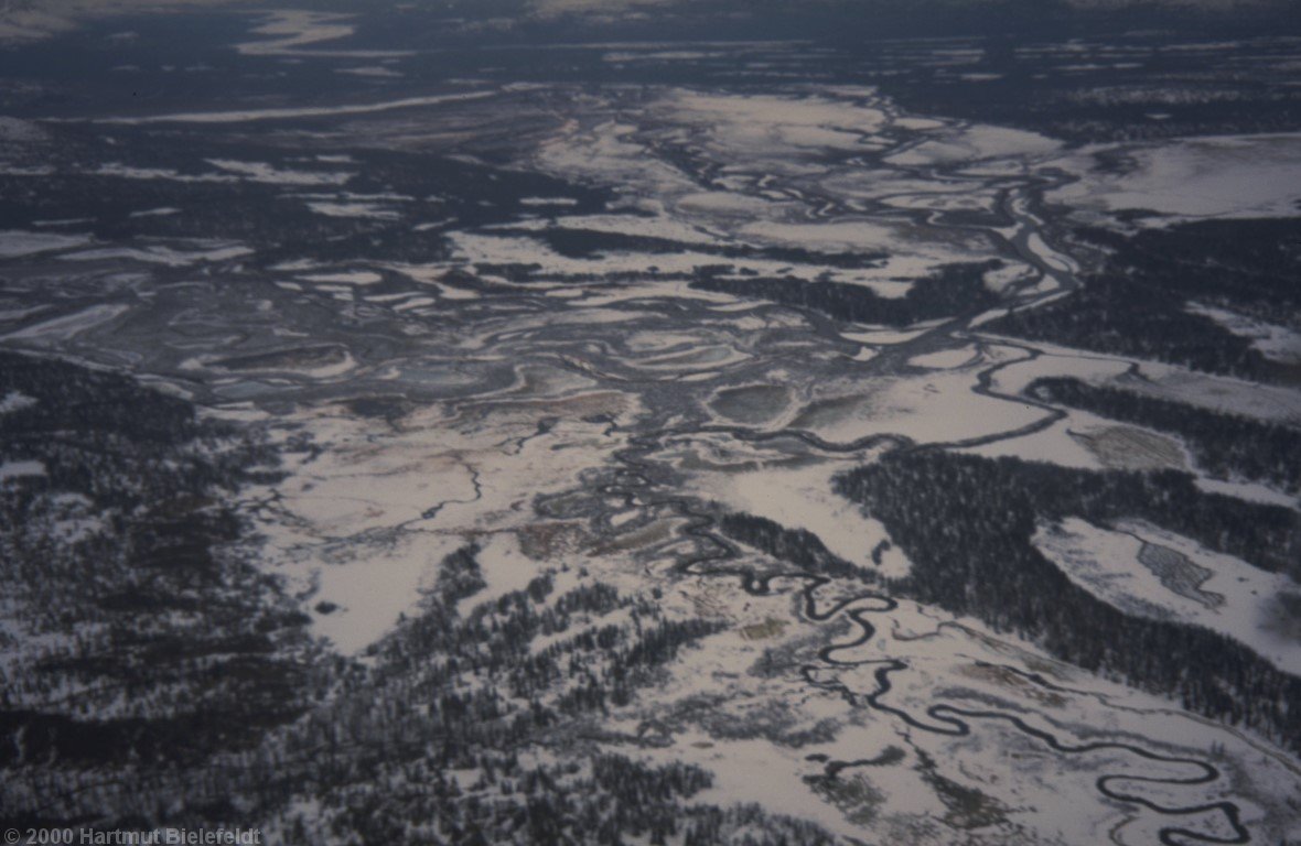 wildness on the flight to basecamp