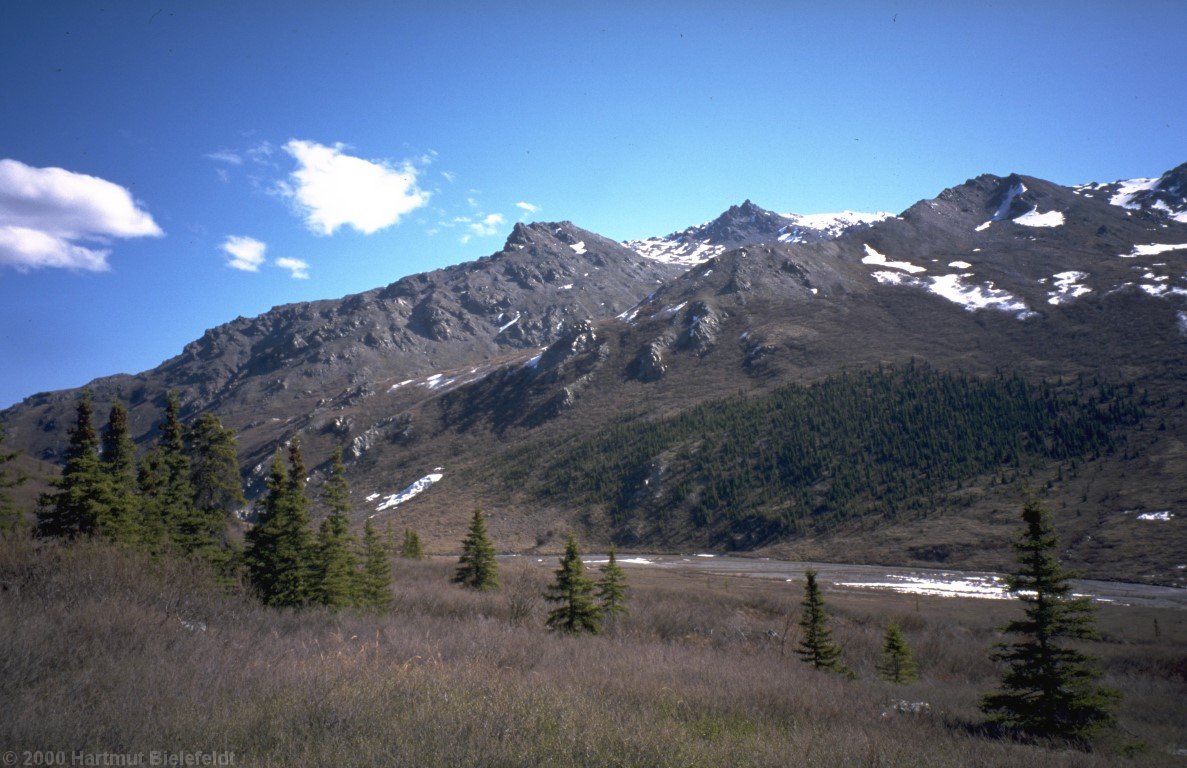 Im Denali-Nationalpark