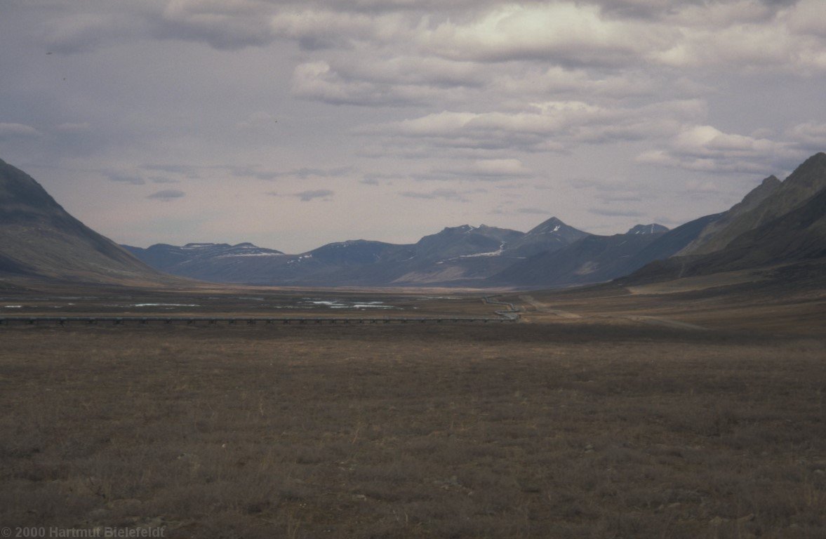 Pipeline und Straße führen weiter auf den North Slope, nochmals 200 km.