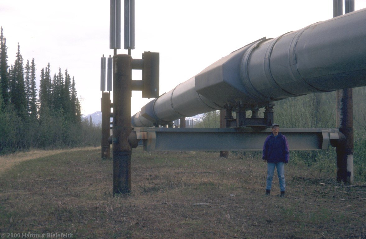 Die Pipeline ist ein sehr aufwendiges und durchdachtes Bauwerk.<BR>Die Flügel auf den Pfosten sind Kühlkörper, die den Boden gefroren halten