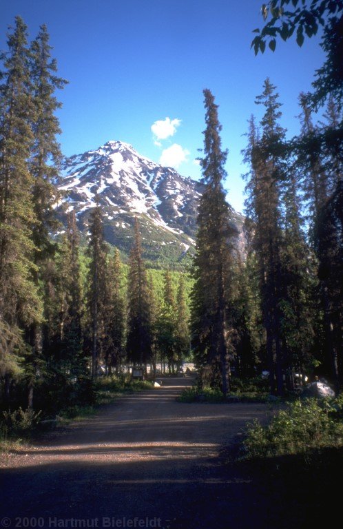 King Mountain Campground, unweit Palmer.