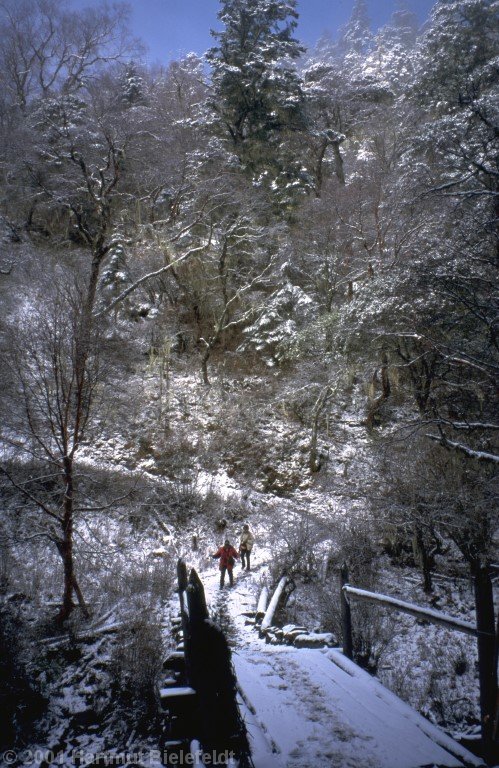 Nach der Brücke geht es vierhundert Meter aufwärts zum Kloster Gongga Gompa.